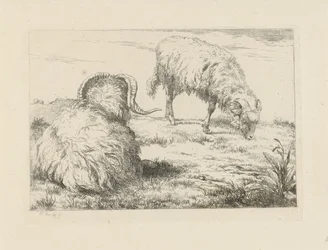 Dos carneros en el prado Ovejas y cabras (título de la serie)