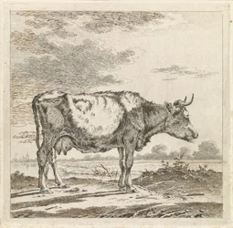 Paisaje con una vaca en el paseo marítimo