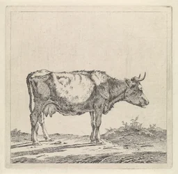 Paisaje con una vaca en el paseo marítimo