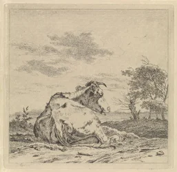 Paisaje con vaca acostada