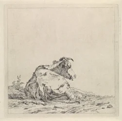 Paisaje con vaca acostada