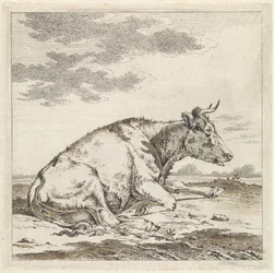 Vaca reclinada, a la derecha