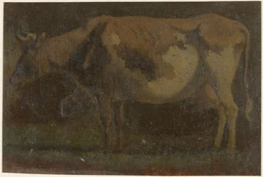 Vaca de pie, a la izquierda