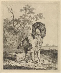 Perro perdiz sentado