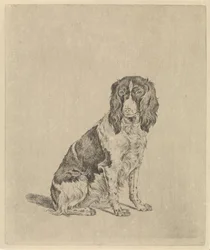 Perro perdiz sentado