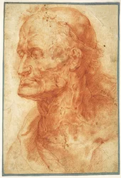 Estudio de la cabeza de un anciano, ca. 1602