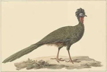 Penélope, en el suelo