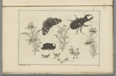 Tres ramas de flores con escarabajo rinoceronte, mariposa y escarabajo
Flores e insectos chinos (título de la serie)
