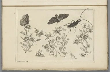 Tres ramas de flores con pájaros, mariposas y un insecto
Flores e insectos chinos (título de la serie)