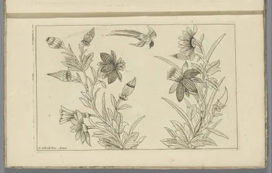 Dos arbustos de flores y una golondrina
Flores y pájaros chinos (título de la serie)