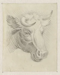 Cabeza de vaca