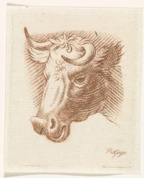 cabeza de toro