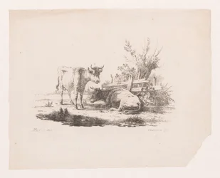 Dos vacas junto a una valla y un sauce desmochado