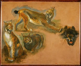 Un lince, cabeza de lobo (pintura sobre lienzo)