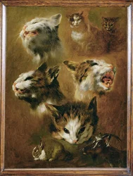 Cabeza de gato, conejo y cabra (pintura sobre lienzo)