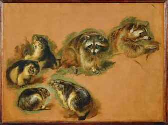 Marmotas y mapaches (pintura sobre lienzo)