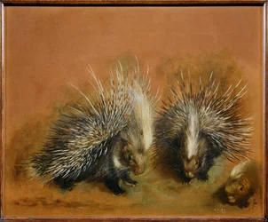 Puercoespín (pintura sobre lienzo)