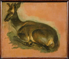 Ciervo tumbado (pintura sobre lienzo)