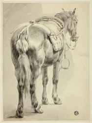 Caballo de silla
