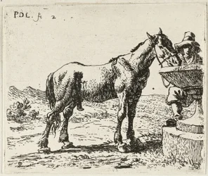 Caballo bebedor