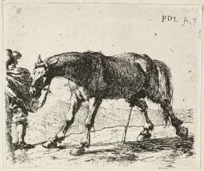 Caballo meón