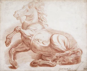 Un caballo caído
