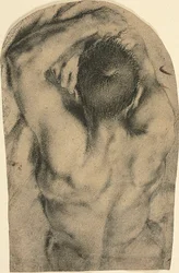 Desnudo masculino recostado de medio cuerpo visto de espaldas