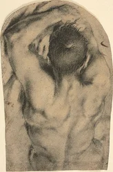 Desnudo masculino yacente de medio cuerpo visto de espaldas, c.1590 (carboncillo, toques de óleo y trazas de blanco de plomo sobre papel)