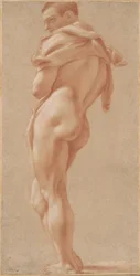 Desnudo Masculino de Pie Visto desde Atrás