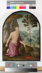 San Jerónimo en el desierto, c.1510-15