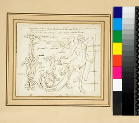 Ornamenti che tramezzano le vitorie delle amazzoni le uni fatti di coloretti altri di chiaro oscuropen