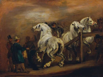 mercado de caballos