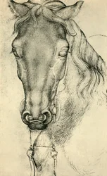 Cabeza de un caballo, c1420-1455, 1943