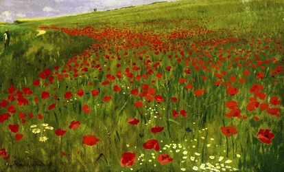 Pradera con amapolas