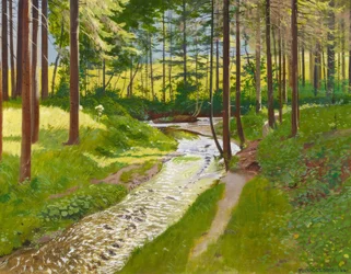 Bosque de verano con arroyo