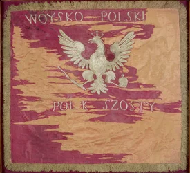 Bandera del Sexto Regimiento de Infantería del Ducado de Varsovia, 1807