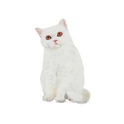British Shorthair White, 2014 (acuarela y gouache sobre papel)