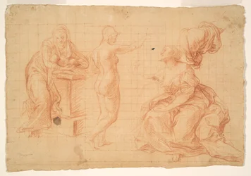 Estudios para