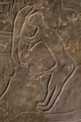 Figura humana y cabeza de toro (grabado rupestre)