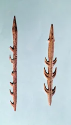 Dos Arpones, Período Paleolítico Superior, 35000-10000 a.C. (sílex)