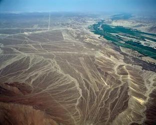 Vista aérea de las Líneas de Nazca representando una figura de pájaro
