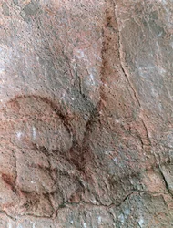 Figura de antílope, pintura rupestre, Paleolítico (c.40000-12000 a.C.) (foto)