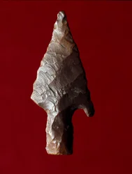 Antigüedad egipcia: punta de flecha del sitio de Fayoum en Egipto. Período predinástico. Verona, Museo Civico di Storia Naturale, Italia