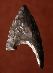 Antigüedad egipcia: punta de flecha del sitio de Fayoum (Fayyum o Fayum) en Egipto. Período predinástico. Verona, Museo Civico di Storia Naturale, Italia