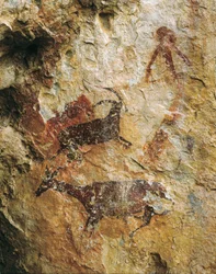 Escena de caza con un ciervo y un íbice (25000-15000 a.C.). Paleolítico Superior. El Perelló, cueva de La Cabra Freixet.