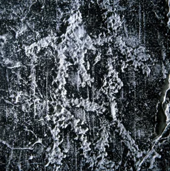 Escena de apareamiento. Graffiti prehistórico en el Valle Camonica, Foppe di Nardo.