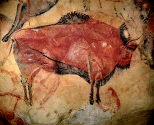 Prehistoria, Arte del Paleolítico Superior: un bisonte o uro, pintura parietal en la cueva de Altamira (España), carboncillo y ocre rojo, entre 35.000 y 11.000 a.C. - Arte del Paleolítico Superior - Pintura en la cueva de Altamira, Carboncillo, re