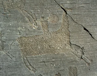 Prehistoria, civilización de los camunos, arte rupestre: roca grabada que representa a un guerrero a caballo con un escudo. Periodo entre el Neolítico y la Edad del Bronce. Capo di Ponte, Parco nazionale delle incisioni rupestri di Naquane, Valcamonica