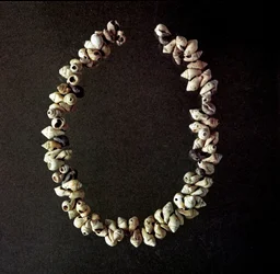 Prehistoria, Edad de Piedra: collar de conchas de la cueva de Polesine, Venecia. Neolítico medio. Roma, Museo Nazionale Preistorico Etnografico Luigi Pigorini