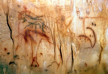 Prehistoria : un hombre herido (Pintura rupestre)